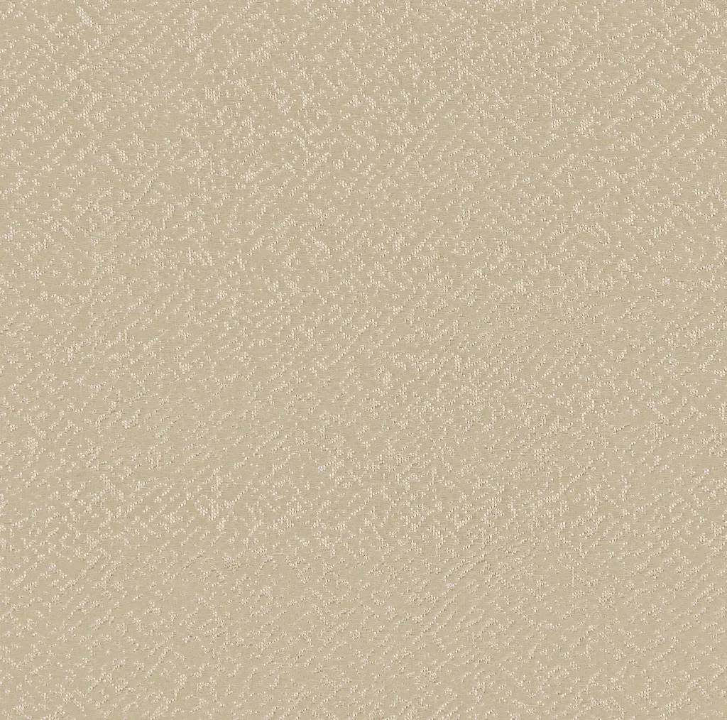 2500-12.webp