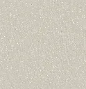 2500-03.webp