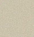 2500-22.webp