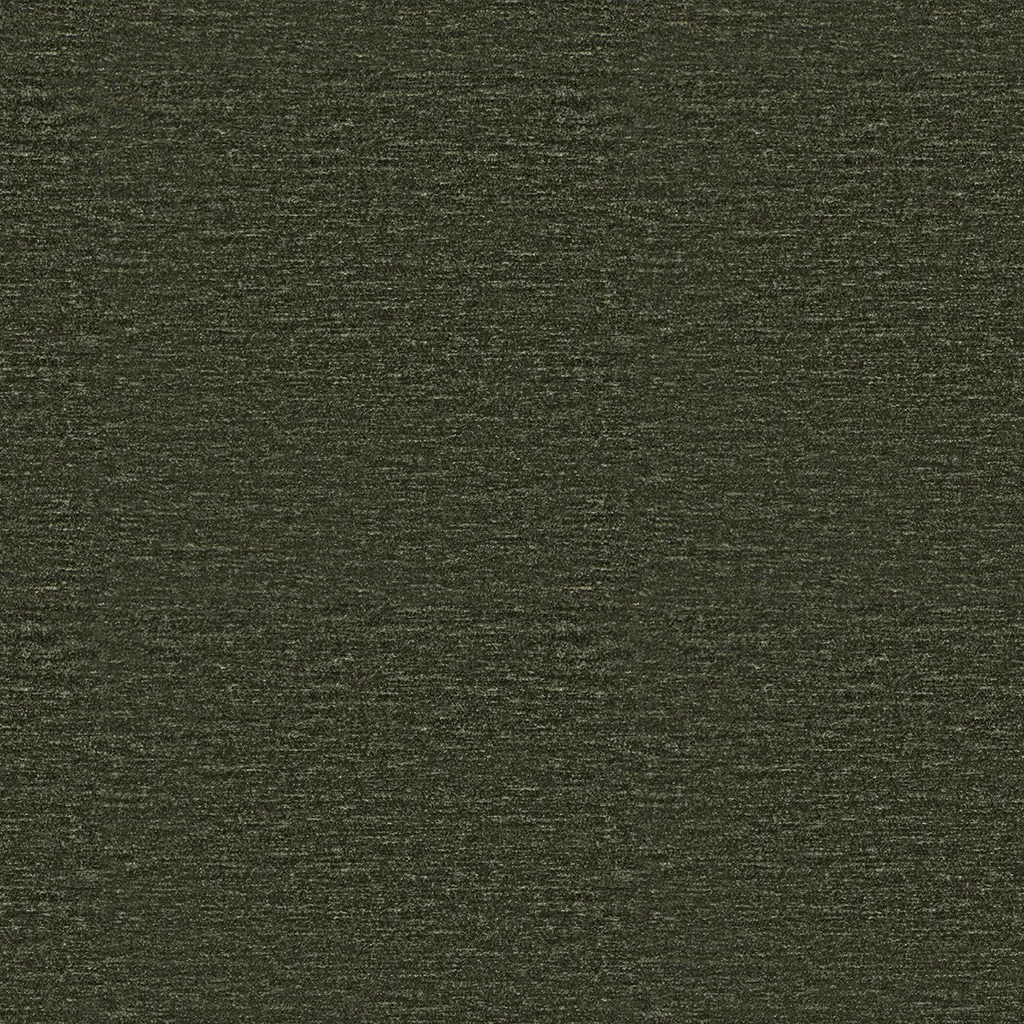 2510-19.webp
