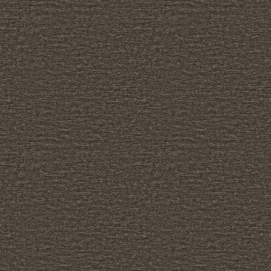 2510-01.webp