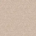 2510-10.webp