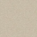 2510-05.webp