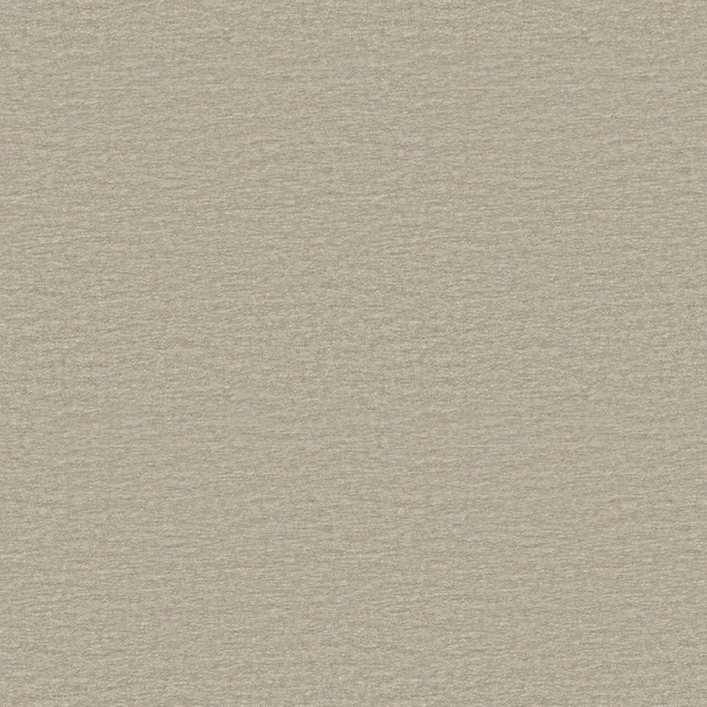 2510-21.webp