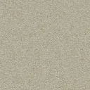 2510-21.webp