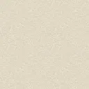 2510-06.webp