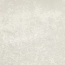 12.webp