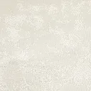 10.webp