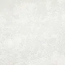 06.webp