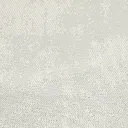 16.webp