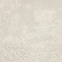 14.webp