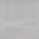 19.webp