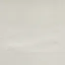 15.webp