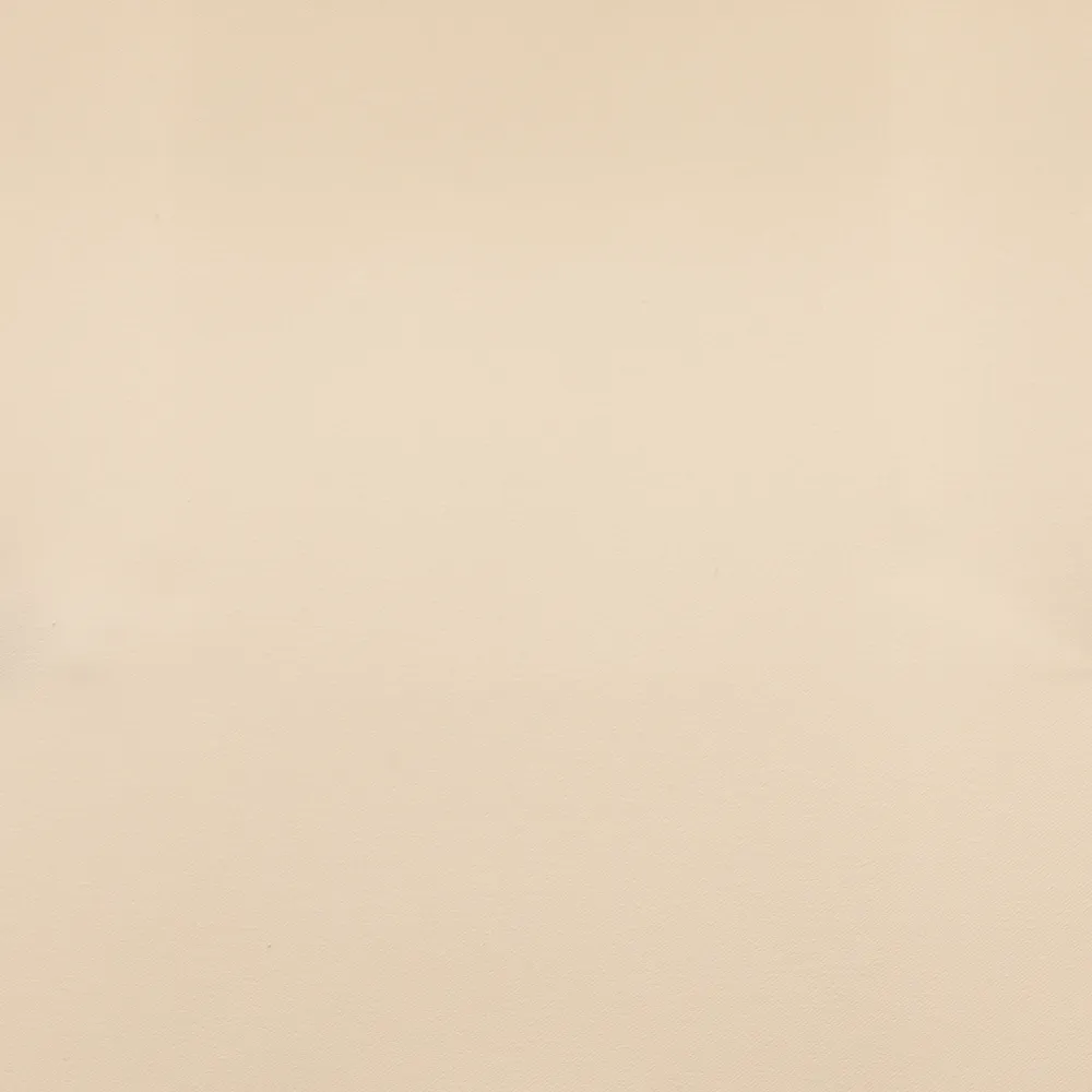 17.webp