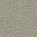 2425-05.webp