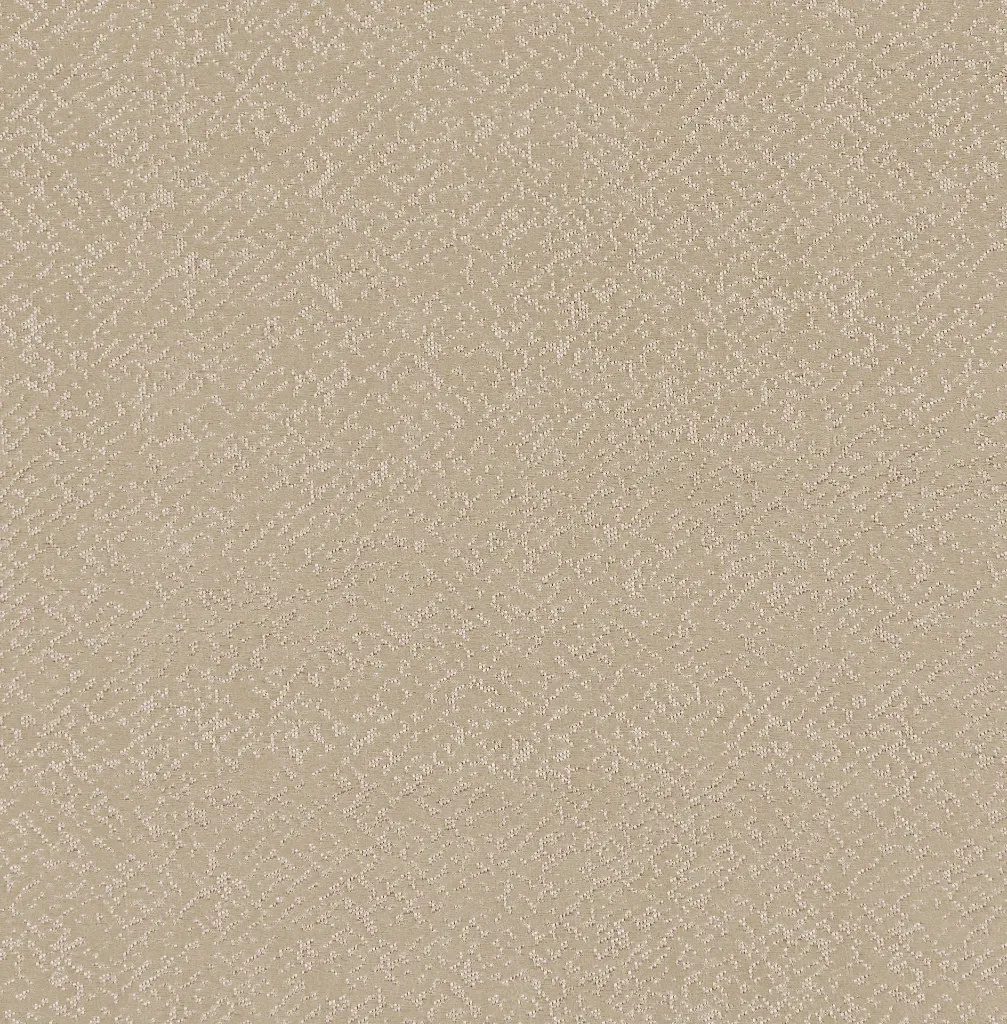 2500-16.webp