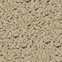 AVILA - CHENILLE WR COLLECTION (W142) BOOK 2810